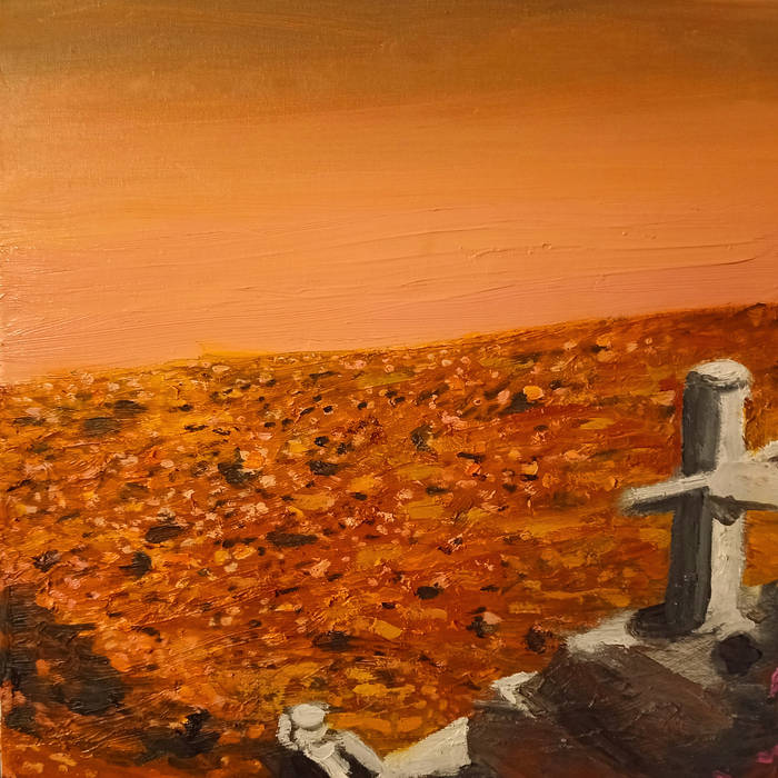 Parkland -  Daily Acceptance for Evenings of Disarray Vinyl, LP, Album, Stereo