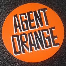 Agent Orange w/ The Drowns ticket