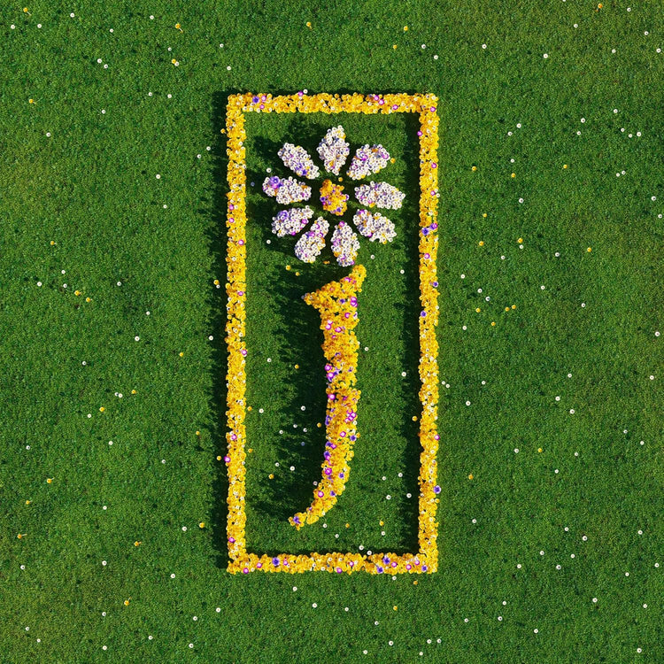 James - Nothing But Love: The Definitive Best Of (Vinyl 2xLP)