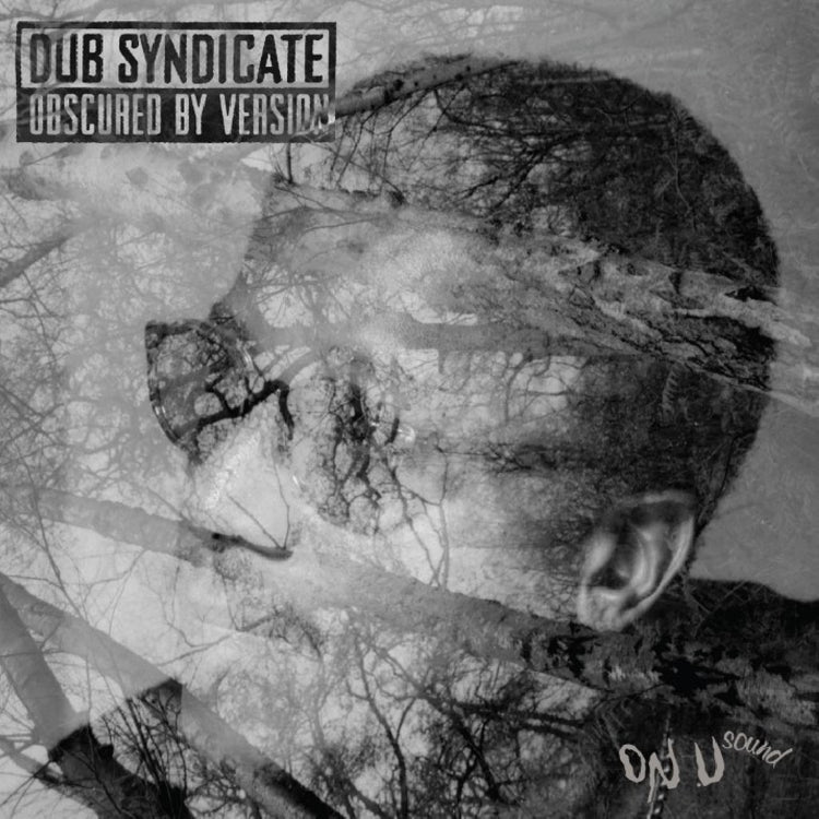 Dub Syndicate / Obscured By Version