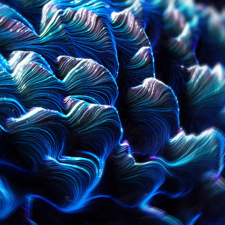 Renja & Sangam - Sacrifice (Vinyl LP)