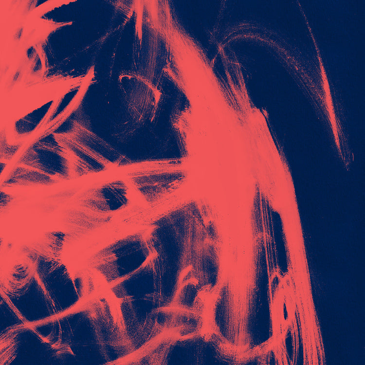 Rival Consoles - Landscape from Memory CD