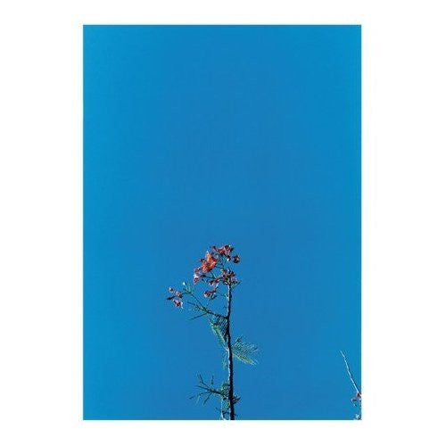 Album art for Joanna Newsom - Joanna Newsom & The Ys Street Band E.P.