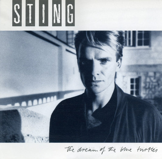 Album art for Sting - The Dream Of The Blue Turtles