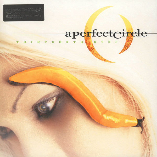 Album art for A Perfect Circle - Thirteenth Step