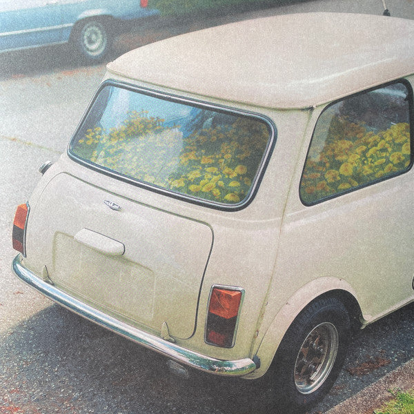 Album art for Said The Whale - Dandelion