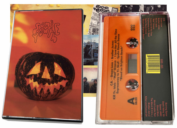 Album art for Sonic Youth - Walls Have Ears