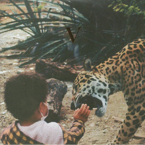 Album art for Unknown Mortal Orchestra - V