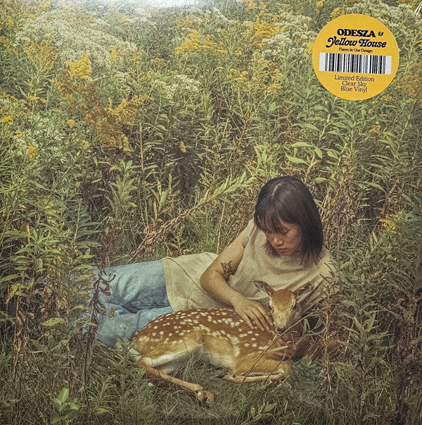 Album art for Odesza - Flaws In Our Design