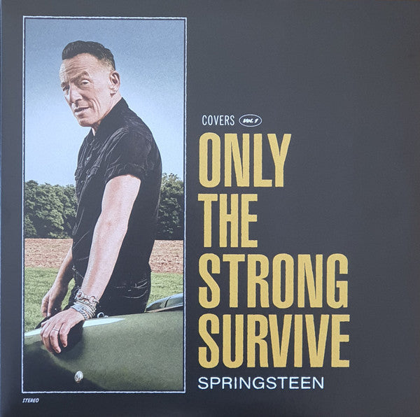 Album art for Bruce Springsteen - Only The Strong Survive