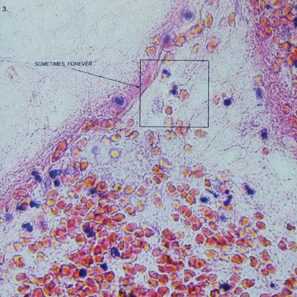 Album art for Soccer Mommy - Sometimes, Forever