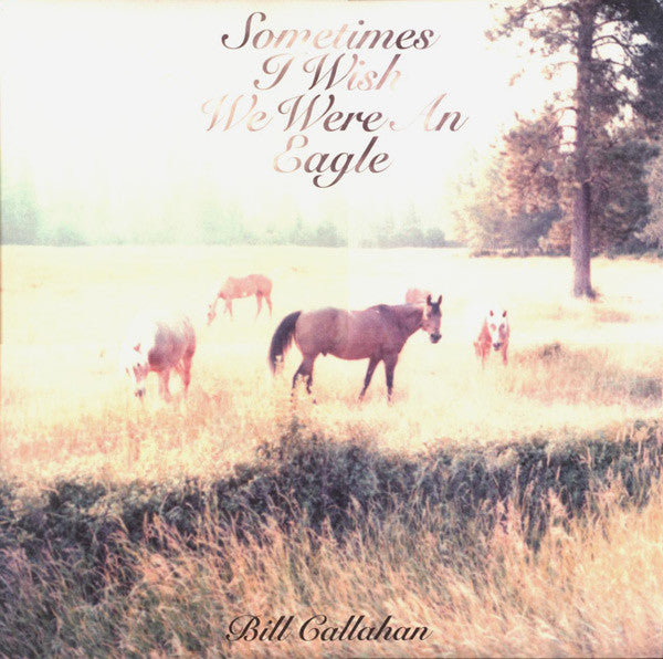 Album art for Bill Callahan - Sometimes I Wish We Were An Eagle