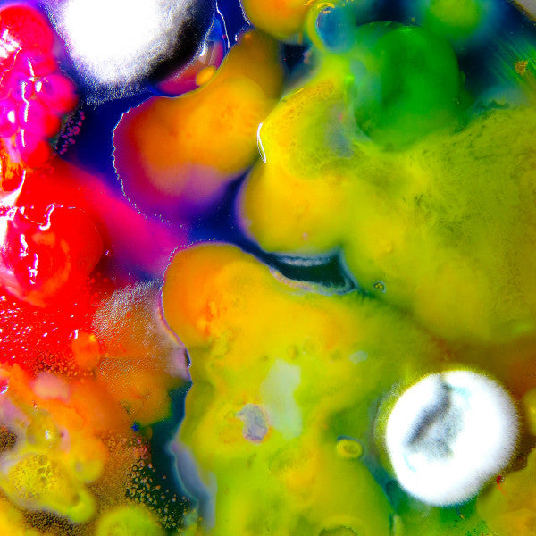 Album art for Guerilla Toss - Famously Alive