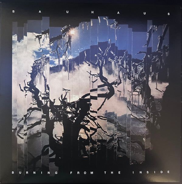 Album art for Bauhaus - Burning From The Inside