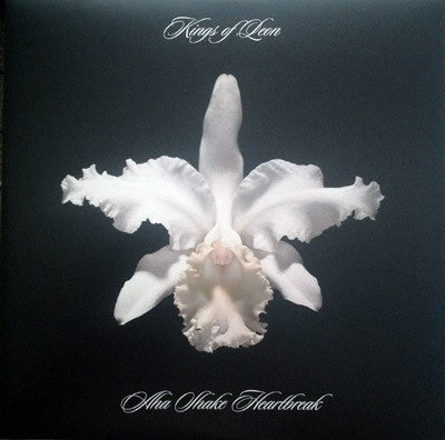 Album art for Kings Of Leon - Aha Shake Heartbreak