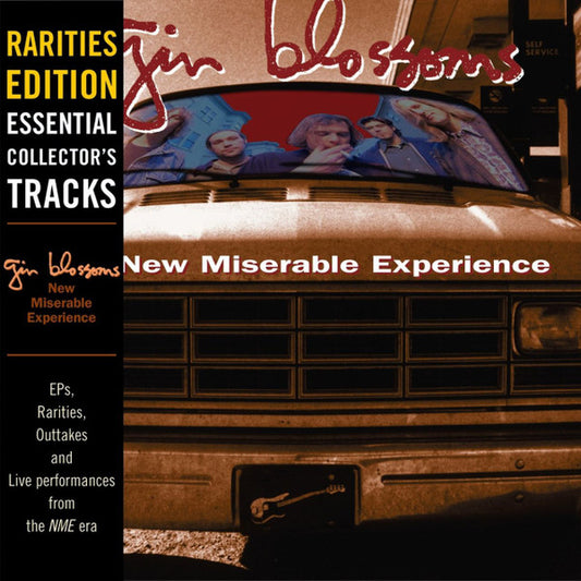 Album art for Gin Blossoms - New Miserable Experience: Rarities Edition - Essential Collector's Tracks