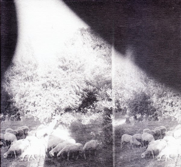 Album art for Godspeed You Black Emperor! - Asunder, Sweet And Other Distress
