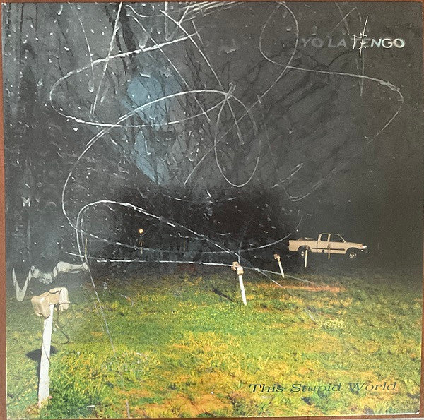 Album art for Yo La Tengo - This Stupid World