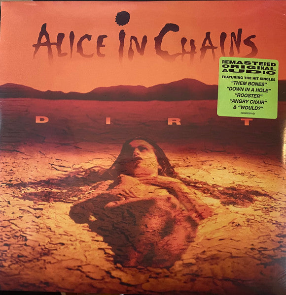 Album art for Alice In Chains - Dirt