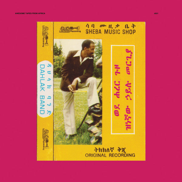 Album art for Hailu Mergia - Wede Harer Guzo