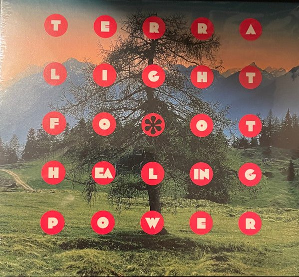 Album art for Terra Lightfoot - Healing Power