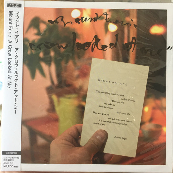 Album art for Mount Eerie - A Crow Looked At Me