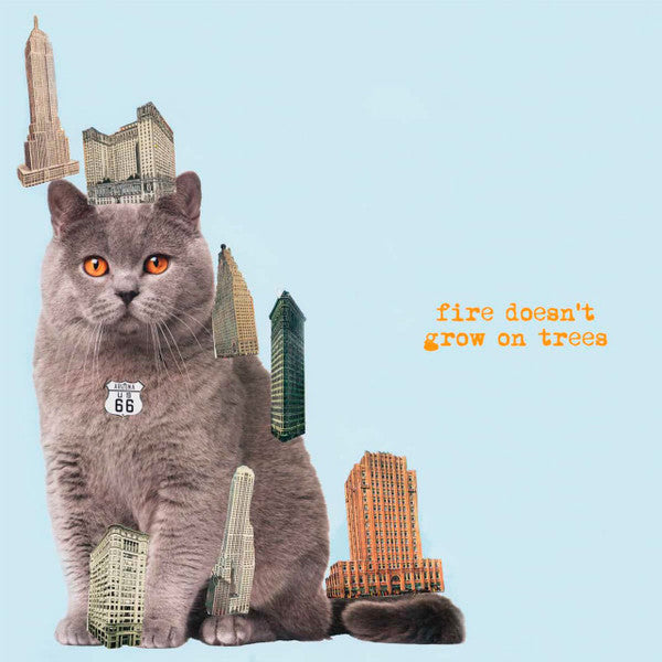 Album art for The Brian Jonestown Massacre - Fire Doesn't Grow On Trees