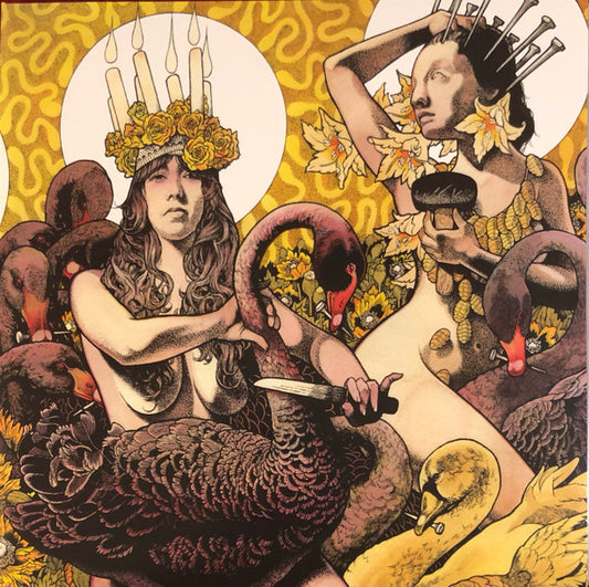 Album art for Baroness - Yellow & Green