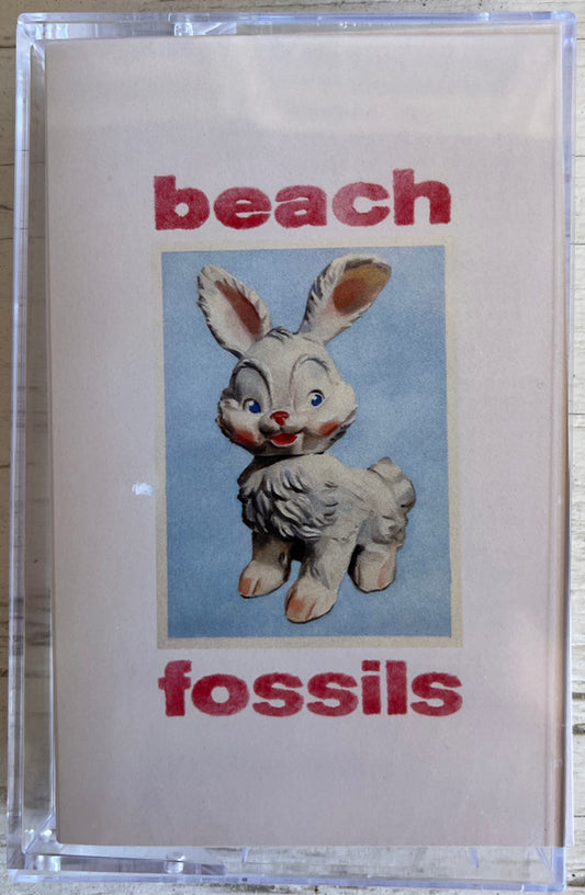 Album art for Beach Fossils - Bunny