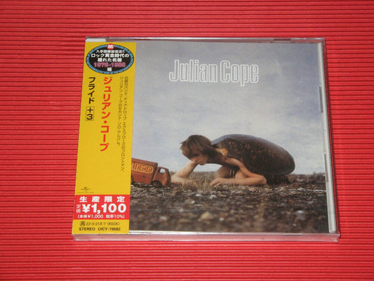Album art for Julian Cope - Fried = フライド+3