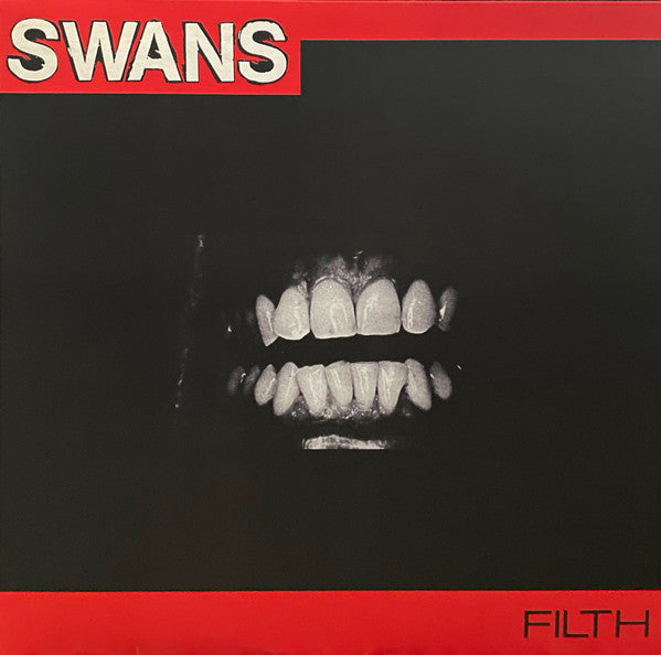 Album art for Swans - Filth