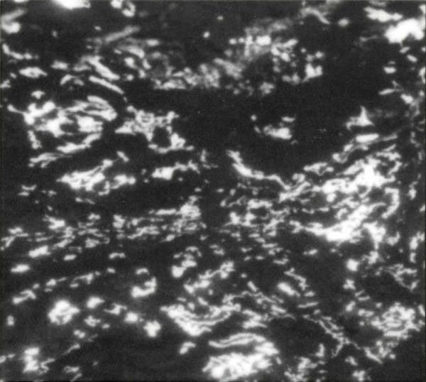 Album art for Grouper - A I A