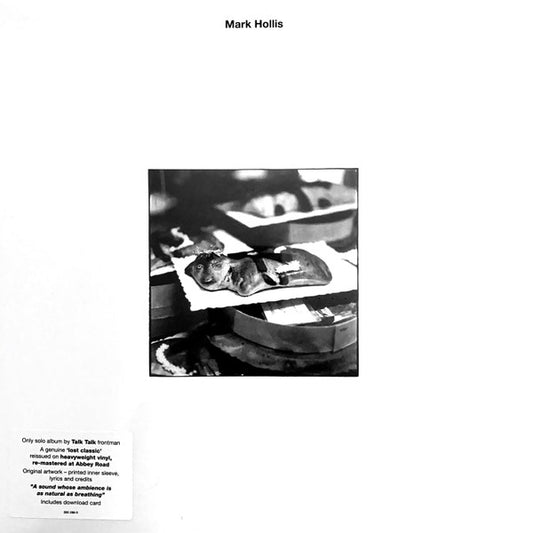 Album art for Mark Hollis - Mark Hollis