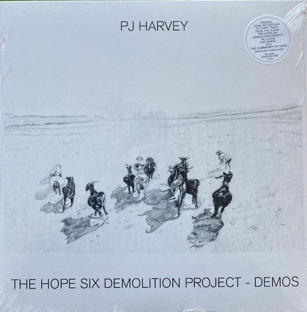 Album art for PJ Harvey - The Hope Six Demolition Project - Demos
