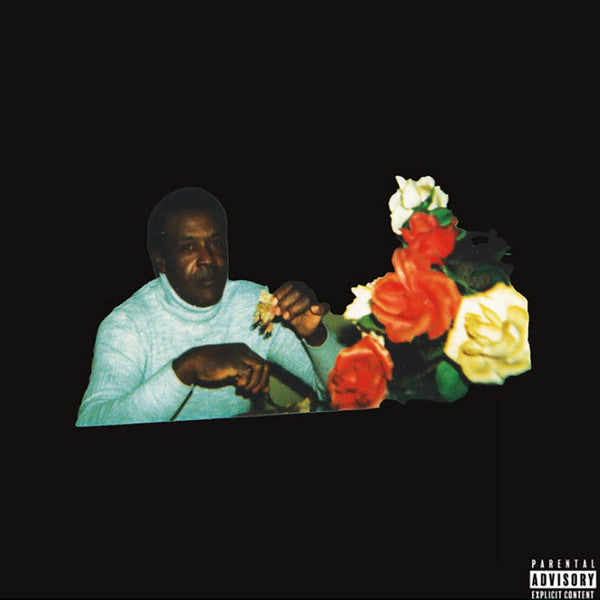 Album art for Vince Staples - Ramona Park Broke My Heart