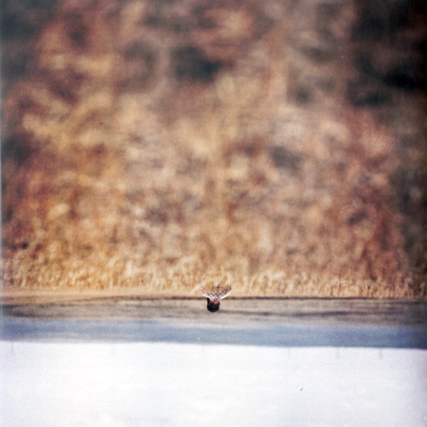 Album art for Jim O'Rourke - Hands That Bind (Original Motion Picture Soundtrack)