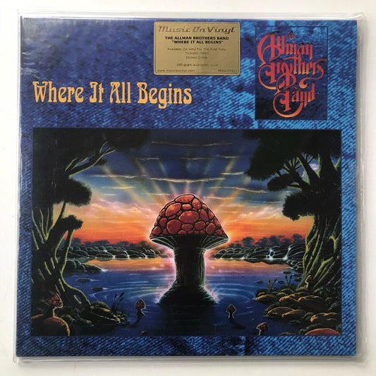 Album art for The Allman Brothers Band - Where It All Begins