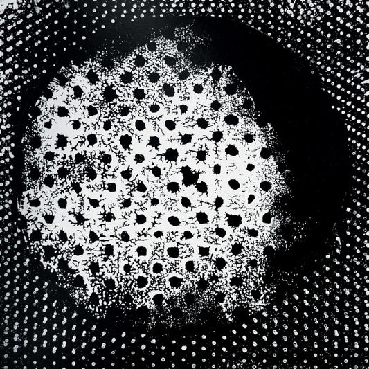 Album art for Biosphere - Patashnik