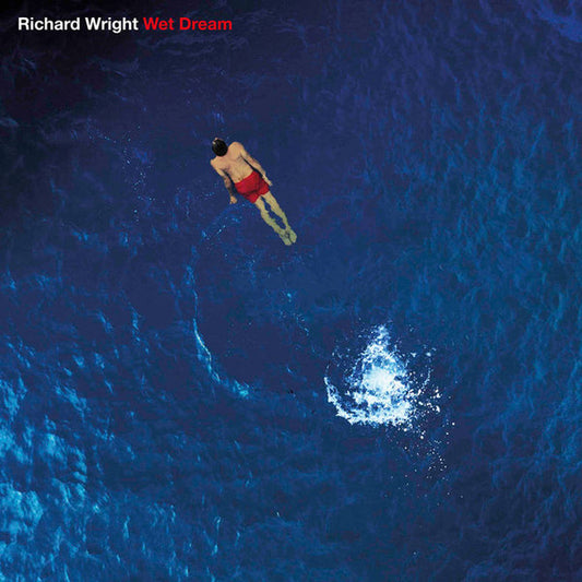 Album art for Richard Wright - Wet Dream