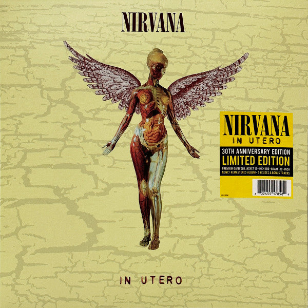Album art for Nirvana - In Utero