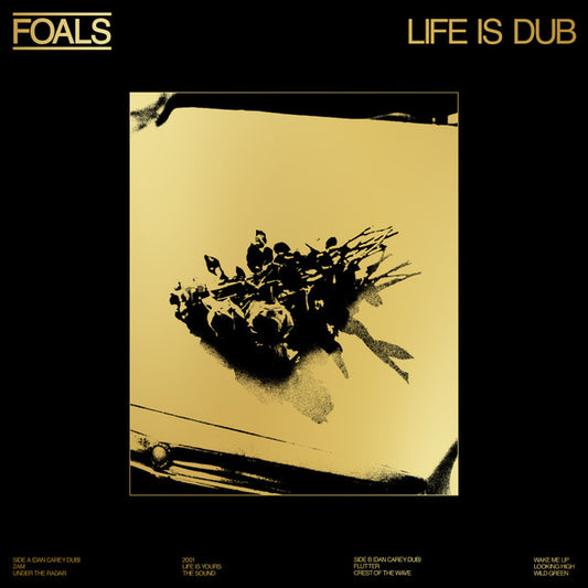 Album art for Foals - Life Is Dub