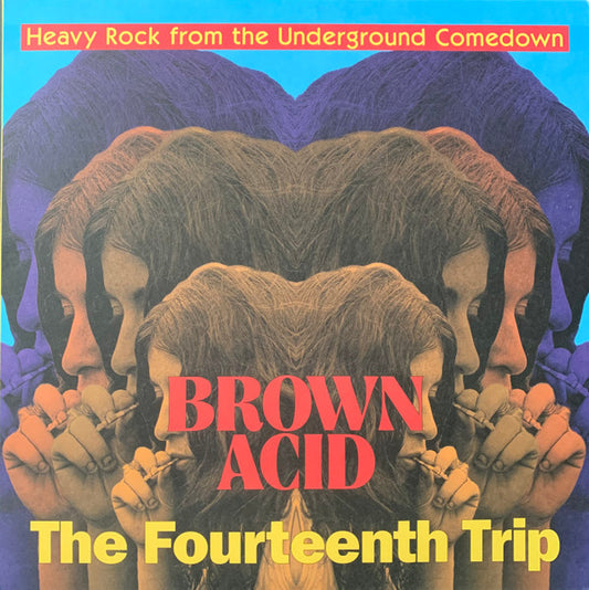 Album art for Various - Brown Acid: The Fourteenth Trip