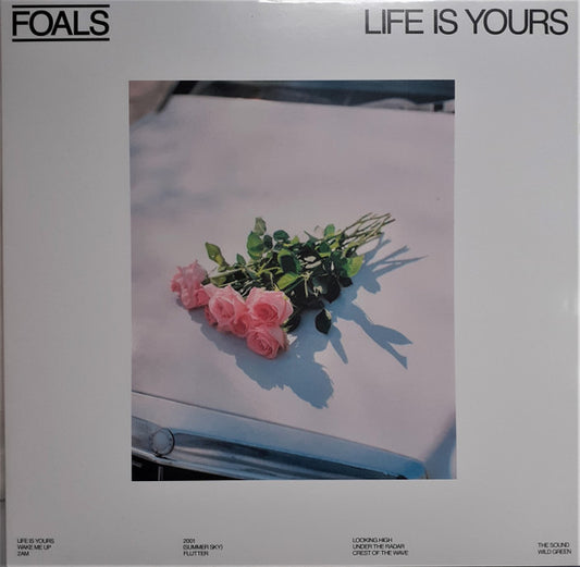 Album art for Foals - Life Is Yours