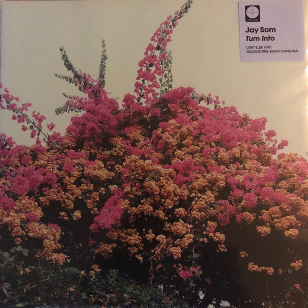 Album art for Jay Som - Turn Into