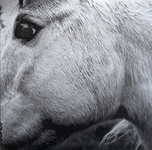 Album art for Bonny Light Horseman - Bonny Light Horseman