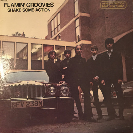 Album art for The Flamin' Groovies - Shake Some Action