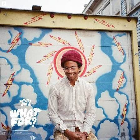 Album art for Toro Y Moi - What For?