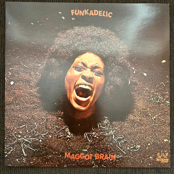 Album art for Funkadelic - Maggot Brain