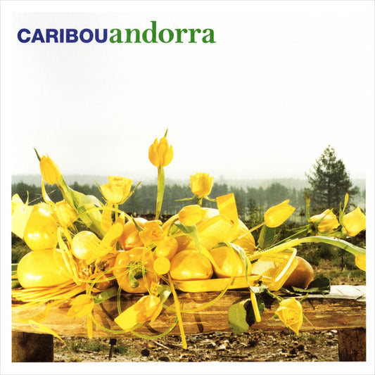 Album art for Caribou - Andorra