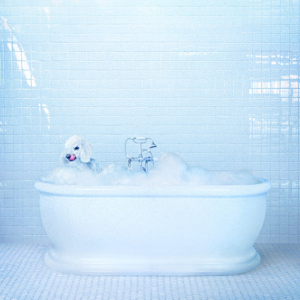 Album art for Frankie Cosmos - Vessel